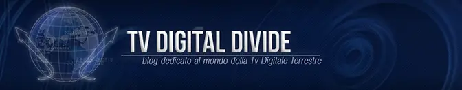 Tv Digital Divide